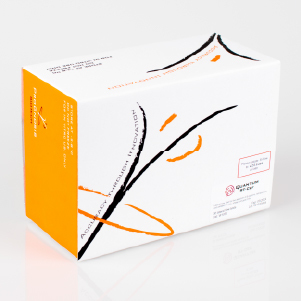 Quantum BT-Cef